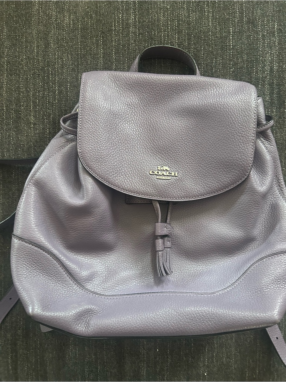 COACH Lavender Leather Tassel Drawstring Backpack
